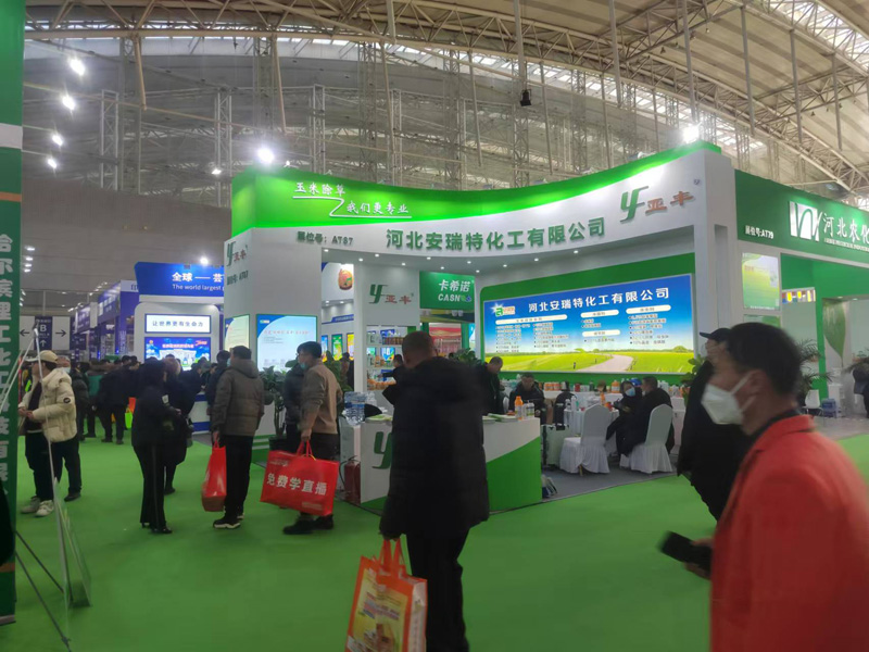 项目展示